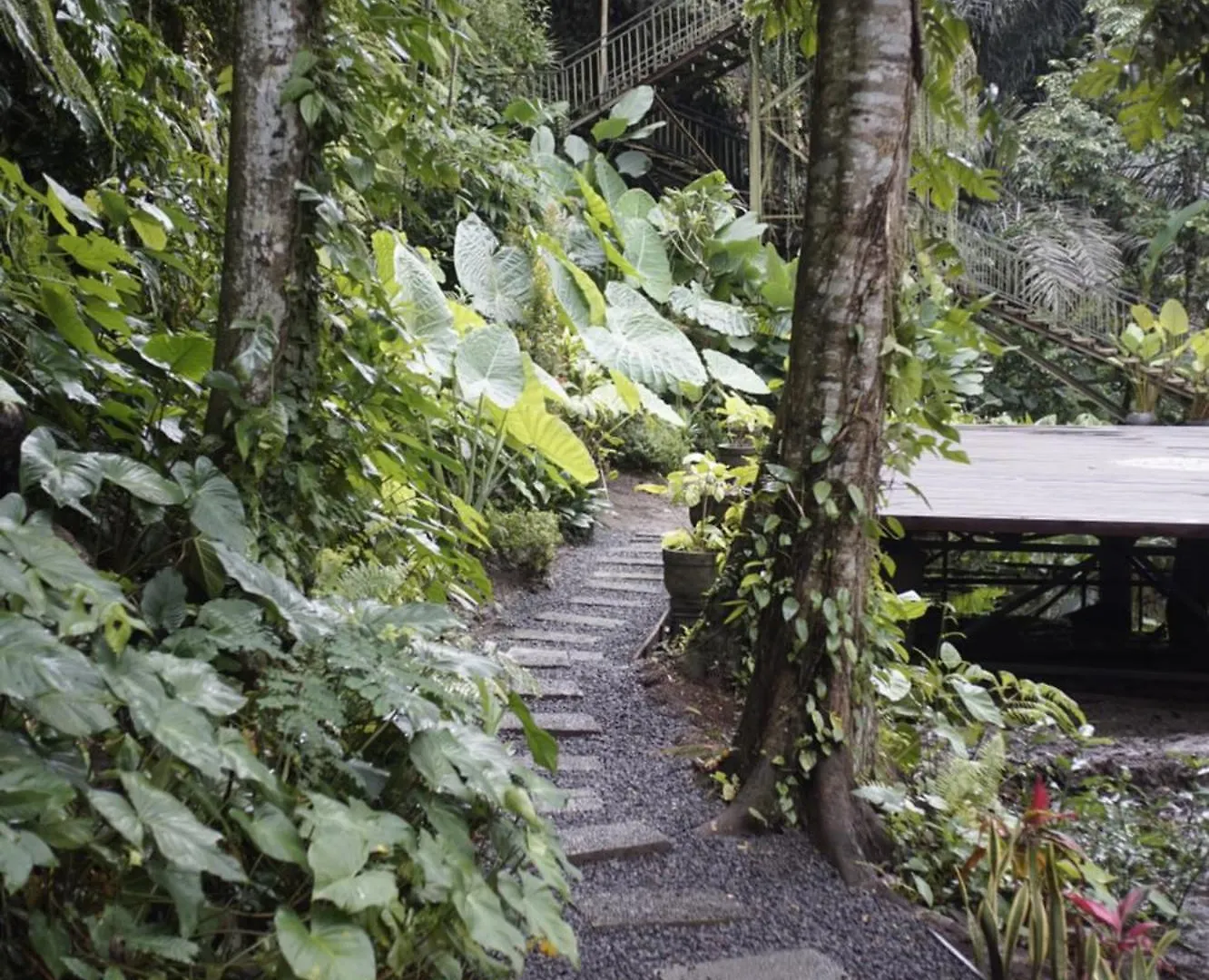 Hotel Tattva Ubud Retreat & Wellness