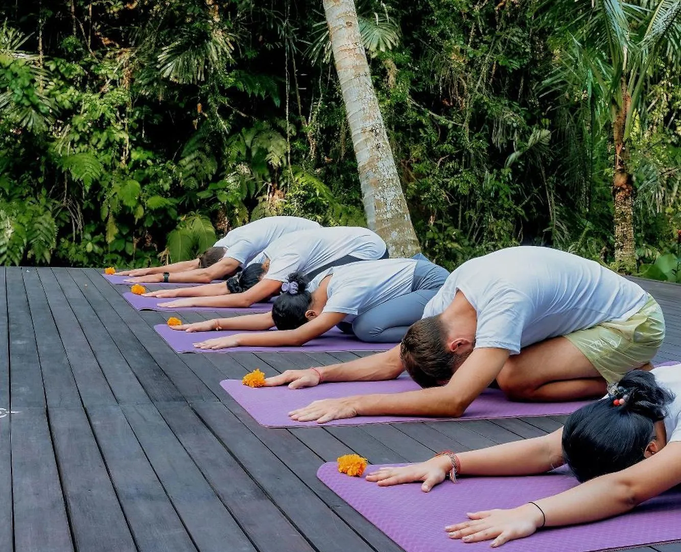 Tattva Ubud Retreat & Wellness