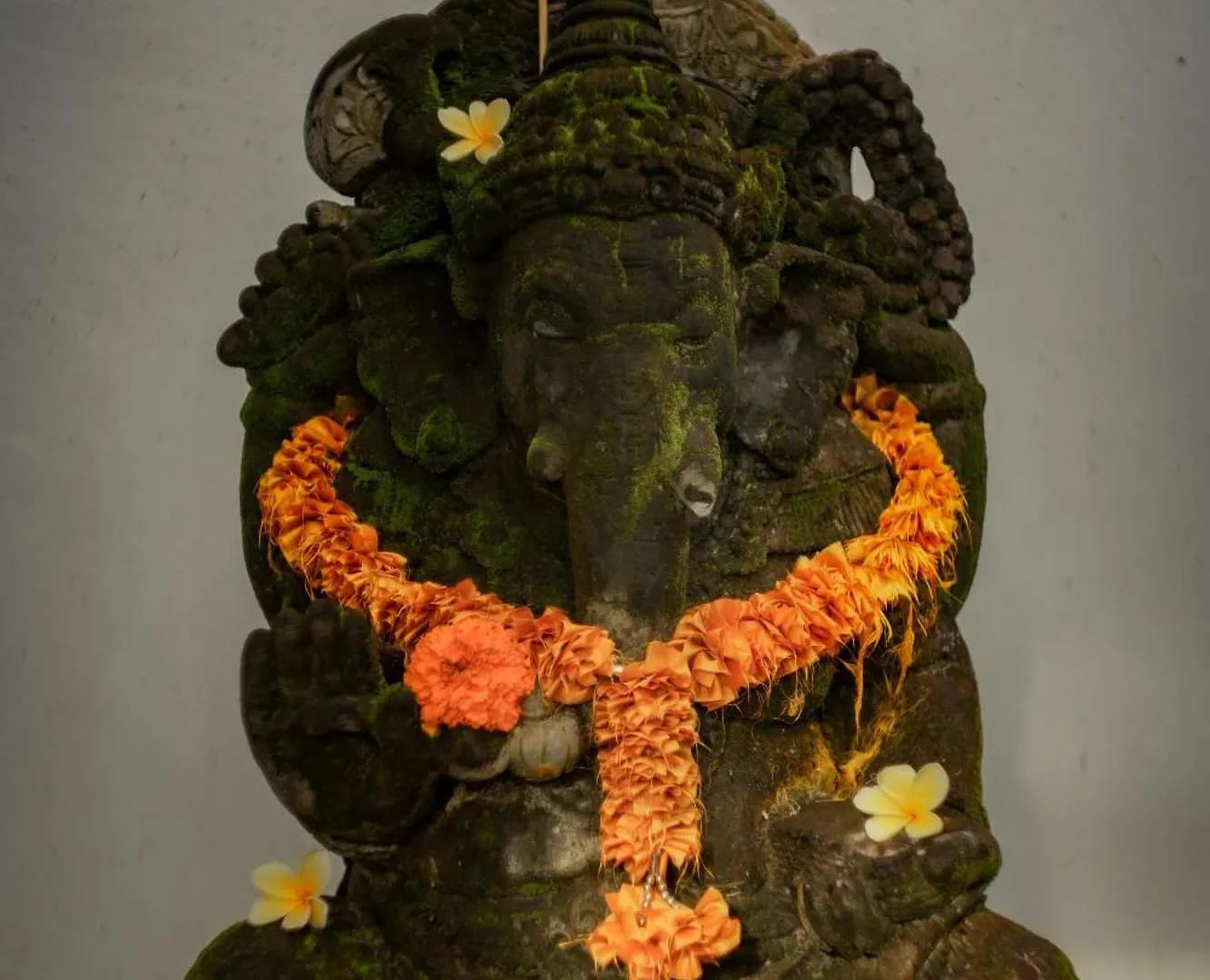 Tattva Ubud Retreat & Wellness 3*,