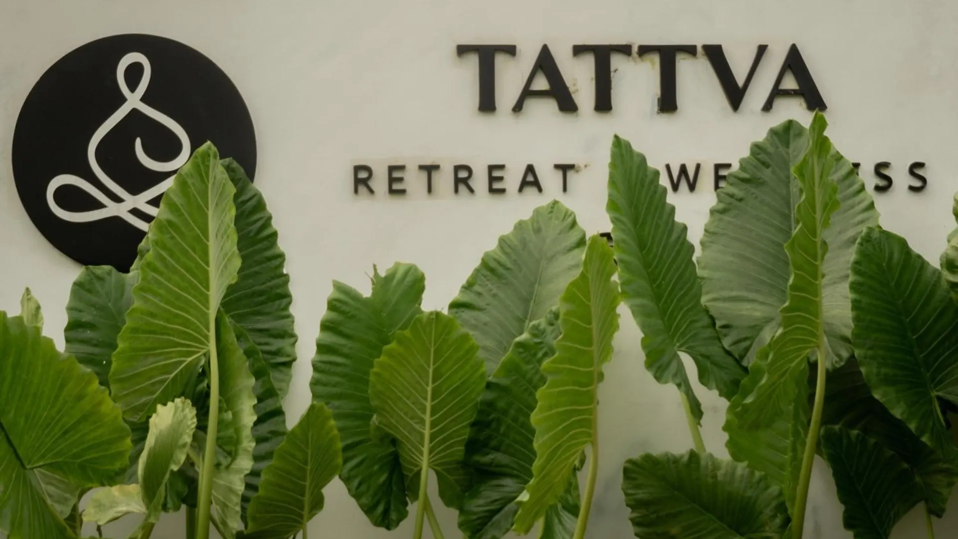Tattva Ubud Retreat & Wellness Hotel