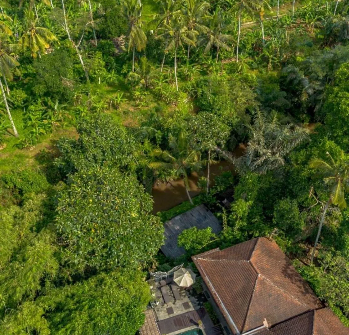 Tattva Ubud Retreat & Wellness